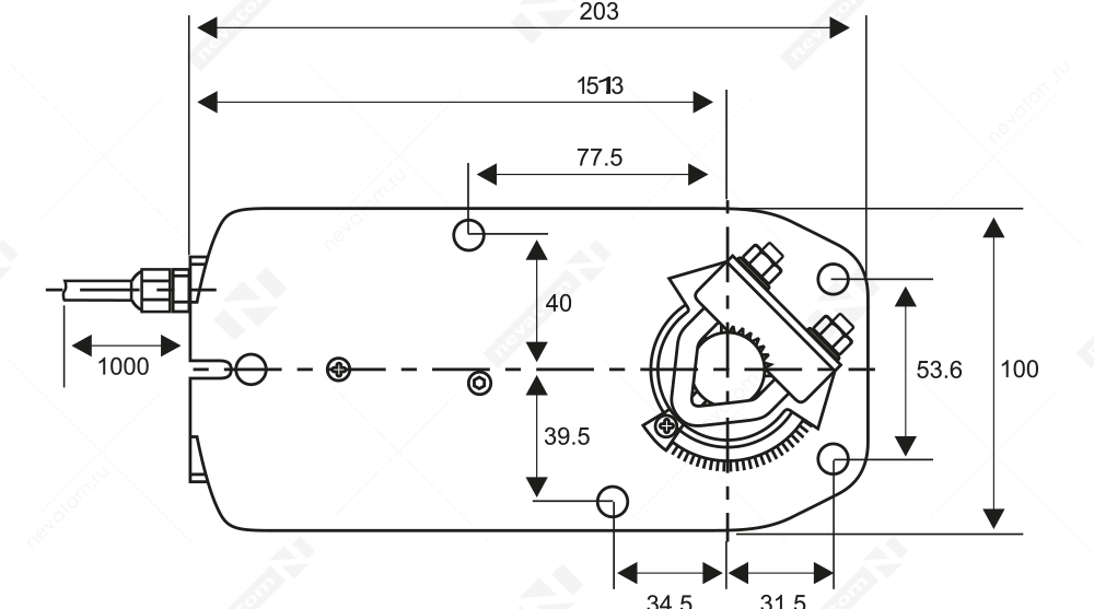 NAFA 1(2)-08(S)_2.png