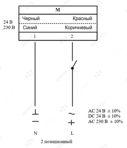 СП SAFA.png